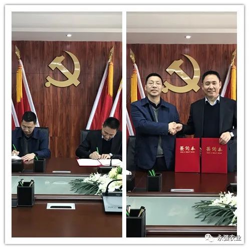 永强集团与安庆师范大学签订产学研合作协议